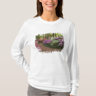 Camiseta EUA, Geórgia, Pine Mountain. Uma trilha através