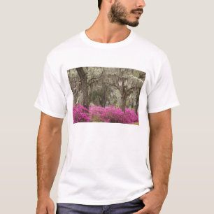 Camiseta EUA, Geórgia, Savannah, Primavera no Histórico