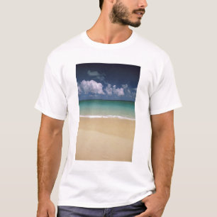 Camiseta EUA, Havaí. Cena de praia