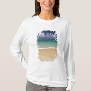 Camiseta EUA, Havaí. Cena de praia