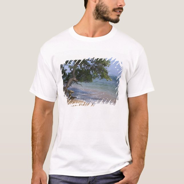 Camiseta EUA, Havaí, Kauai, cenário de praia. RF) (Frente)
