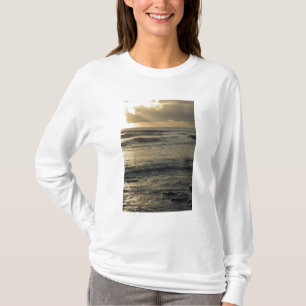 Camiseta EUA, Havaí, Kauai, costa sudoeste, perto de Waimea