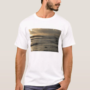 Camiseta EUA, Havaí, Kauai, costa sudoeste, perto de Waimea