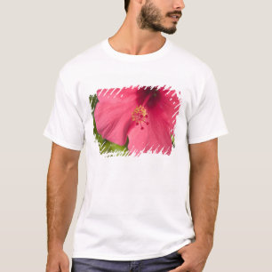Camiseta EUA, Havaí, Kauai, Hibisco