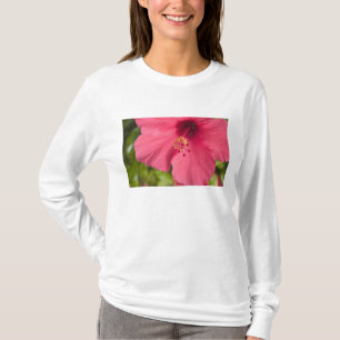 Camiseta EUA, Havaí, Kauai, Hibisco