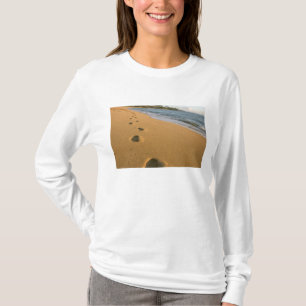 Camiseta EUA, Havaí, Kauai, Kapa'a, frente à praia.
