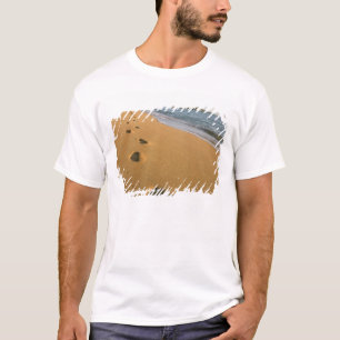 Camiseta EUA, Havaí, Kauai, Kapa'a, frente à praia.