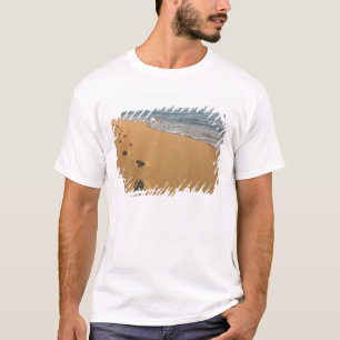 Camiseta EUA, Havaí, Kauai, Kapa'a, frente para a praia. RF