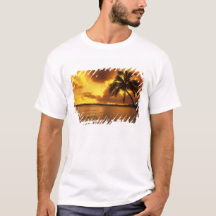 Camiseta EUA, Havaí, Kauai, nascença colorida em um