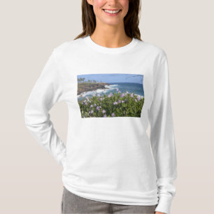 Camiseta EUA, Havaí, Kauai, perto de Kapaa, noroeste