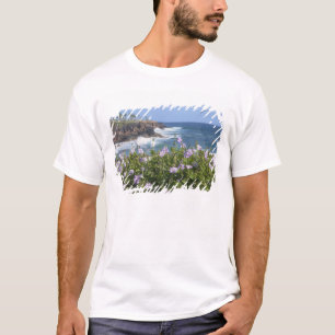 Camiseta EUA, Havaí, Kauai, perto de Kapaa, noroeste