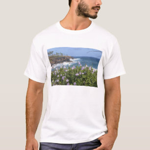 Camiseta EUA, Havaí, Kauai, perto de Kapaa, noroeste