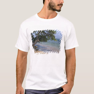 Camiseta EUA, Havaí, Kauai, praia cênica. RF)