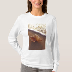 Camiseta EUA, Havaí, Maui, Kihei, Luz da noite em