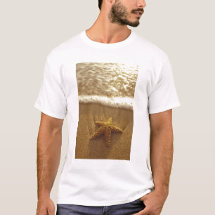 Camiseta EUA, Havaí, Maui, Maui, Kihei, Estrela-do-mar e