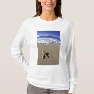 Camiseta EUA, Havaí, Maui, Praia de Makena, Estrela-do-mar