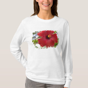 Camiseta EUA, Havaí, Oahu. O Hibisco é o