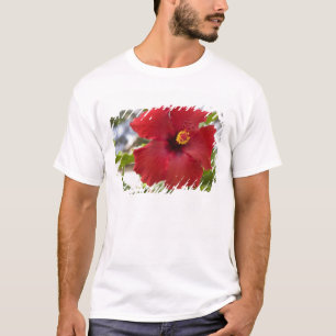 Camiseta EUA, Havaí, Oahu. O Hibisco é o