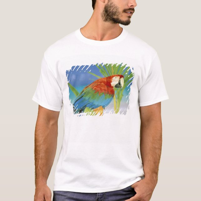 Camiseta EUA, Havaí. Papagaio (Frente)