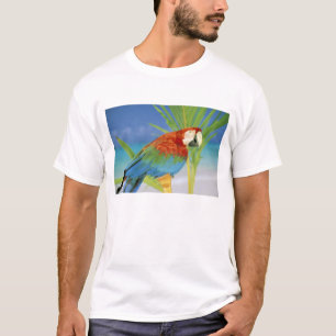 Camiseta EUA, Havaí. Papagaio