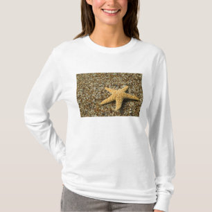 Camiseta EUA, HI, Kauai, Glass Beach com Star fish
