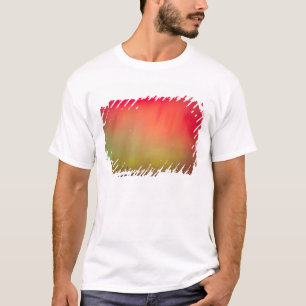 Camiseta EUA, Idaho. Aurora borealis, luzes de norte às 2
