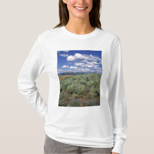 Camiseta EUA, Idaho, Condado de Camas. Artemísia e lupino