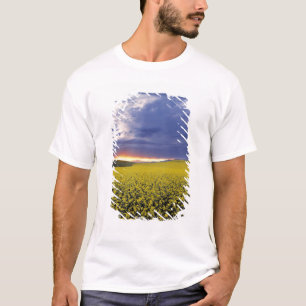 Camiseta EUA, Idaho, Swan Valley. Um pôr do sol ardente irr