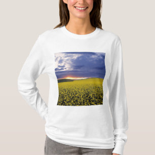 Camiseta EUA, Idaho, Swan Valley. Um pôr do sol feroz expl
