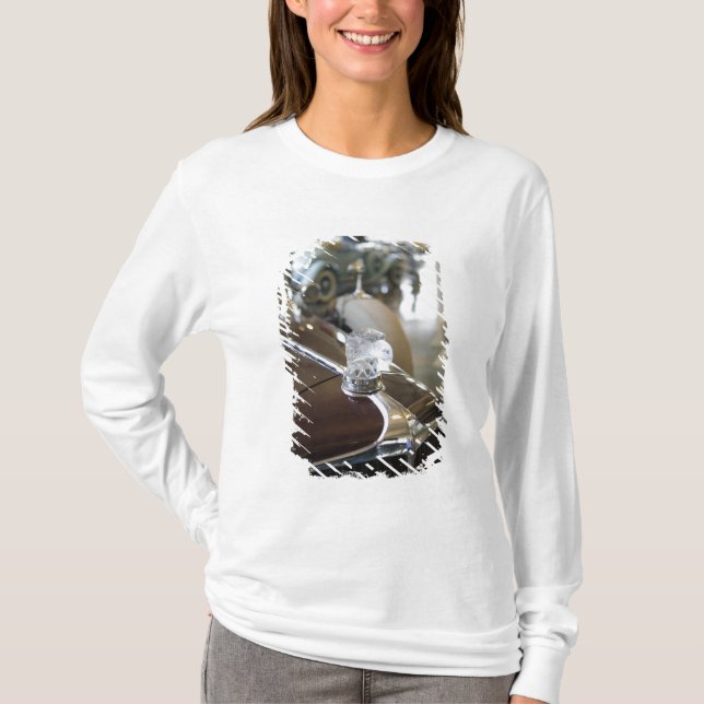 Camiseta EUA, Indiana, castanho-aloirado: (Frente)