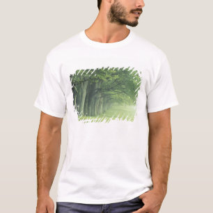 Camiseta EUA, Kentucky. Fileira de árvores na primavera