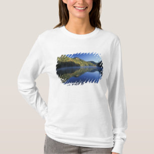 Camiseta EUA, Kentucky. Floresta Nacional Daniel Boone,