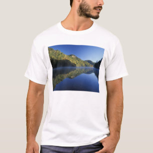 Camiseta EUA, Kentucky. Floresta Nacional Daniel Boone,