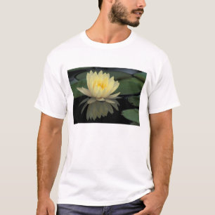 Camiseta EUA, Kentucky, Louisville Doméstico Water Lily,