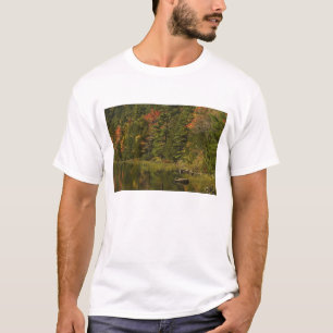 Camiseta EUA; Maine; Acadia NP. Reflexos de outono às 2