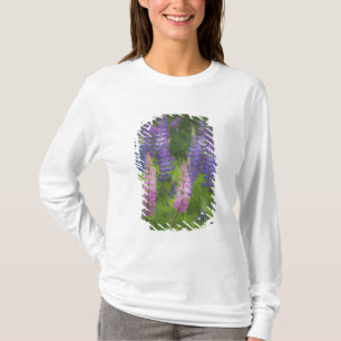 Camiseta EUA, Maine, Southwest Harbor. Tainha em flor