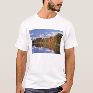 Camiseta EUA, Massachusetts, Acton. Reflexo do outono