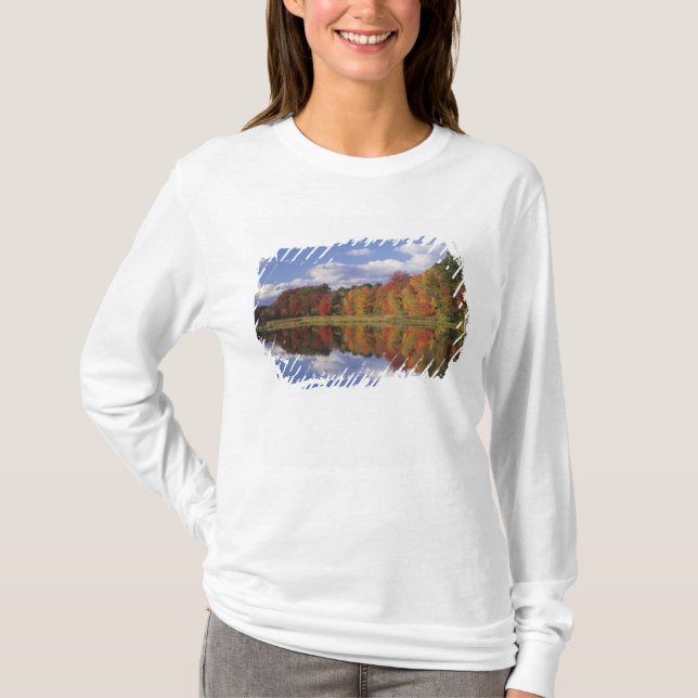 Camiseta EUA, Massachusetts, Acton. Reflexo do outono (Frente)