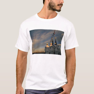 Camiseta EUA, Massachusetts, Boston. Marinha dos EUA Color