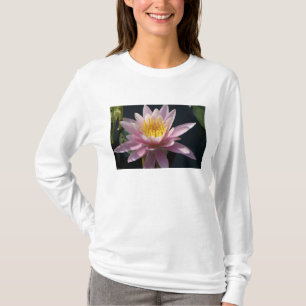 Camiseta EUA, Massachusetts, Great Barrington, folha de lír