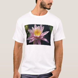 Camiseta EUA, Massachusetts, Great Barrington, folha de lír