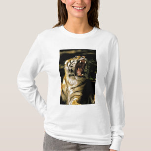 Camiseta EUA, Michigan, Detroit. Jardim zoológico de