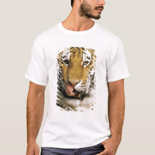 Camiseta EUA, Michigan, Detroit. Zoológico de Detroit, tigr