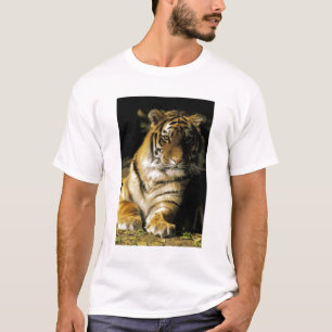 Camiseta EUA, Michigan, Detroit. Zoológico de Detroit, tigr