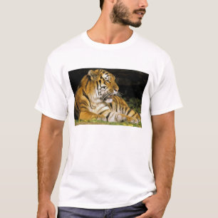 Camiseta EUA, Michigan, Detroit. Zoológico de Detroit, tigr