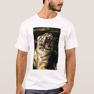 Camiseta EUA, Michigan, Detroit. Zoológico de Detroit, tigr