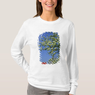 Camiseta EUA, Michigan, East Tawas. Farol de Tawas com