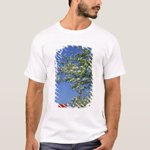 Camiseta EUA, Michigan, East Tawas. Farol de Tawas com