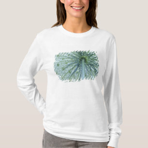 Camiseta EUA, Michigan. Erva-de-santa-maria vista de