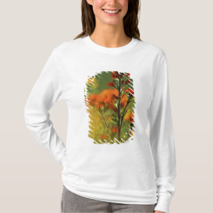 Camiseta EUA, Michigan, Ilha Drummond, Planícies Maxton,